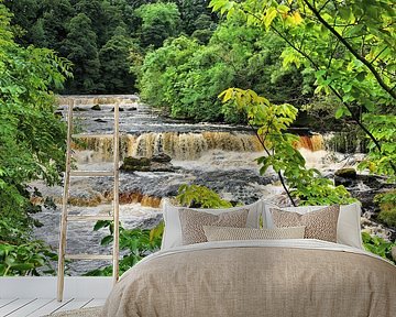 Aysgarth Upper Falls - Wasserfall