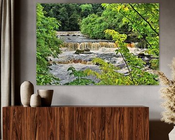 Aysgarth Upper Falls - Wasserfall von Gisela Scheffbuch