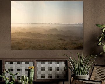 Mistige duinen bij zonsopkomst van Mark Scholten