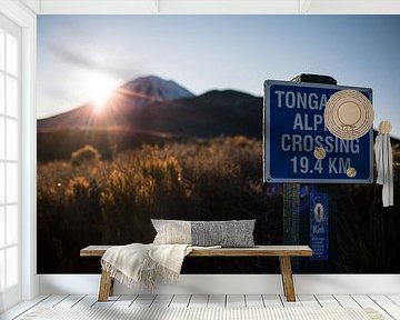 Tongariro Alpine Crossing, New Zealand by Martijn Smeets