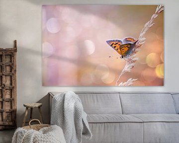 Kleine vuurvlinder vlinder met mooie achtergrond