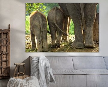 Elefanten in Nepal von Gert-Jan Siesling