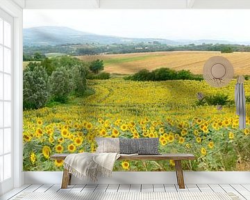 Sunflower fields in the south of France by Corinne Welp