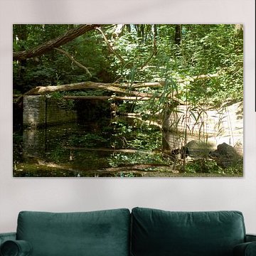 verlaten in de natuur