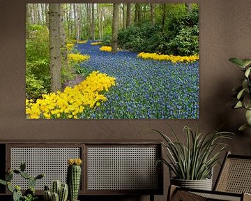 Muscari field in Keukenhof, the Netherlands. sur Tamara Witjes