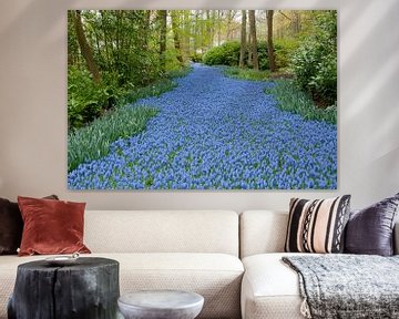 Muscari field in Keukenhof, the Netherlands sur Tamara Witjes