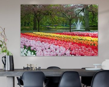 Flowerfield in Keukenhof, the Netherlands von Tamara Witjes