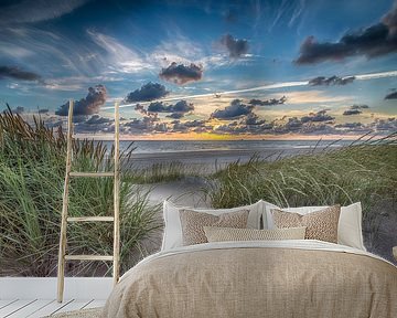 Summer Beach - Dutch Dunes