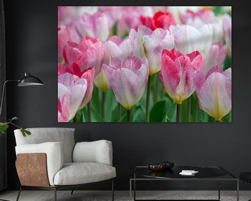 Pink tulips - Keukenhof von Tamara Witjes