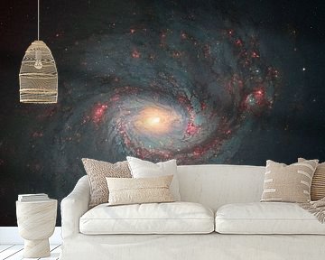 M77 A spiral galaxy by André van der Hoeven