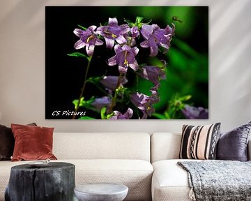 Blume im Wald