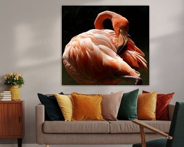 Caribische flamingo van Iwona Sdunek alias ANOWI