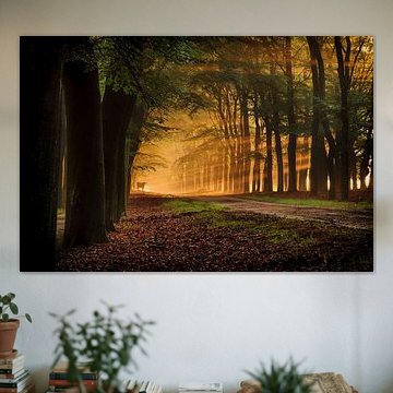 Wild Cow on the watch