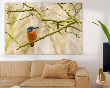 Kingfisher by Marianne Jonkman