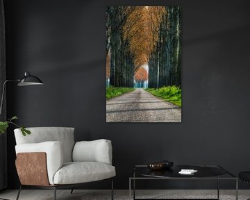 Farm Road sur Hans Soowijl