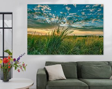 bloeiende duinen van eric van der eijk