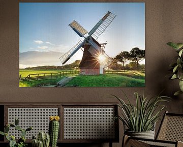 morning summer sunshine behind Dutch windmill van Olha Rohulya