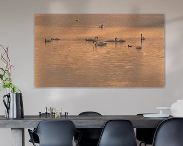 Swan Lake by Erik Veldkamp