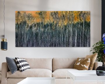 Birch, abstraction by Rietje Bulthuis