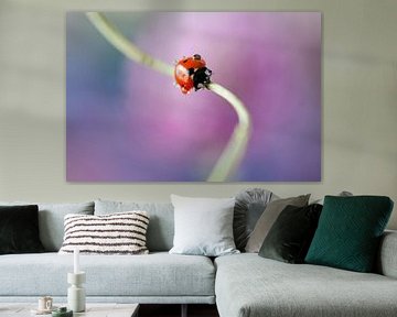 Lieveheersbeestje op bloemsteel  van Tamara Witjes