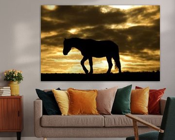 Horse during sunrise van Anne Koop