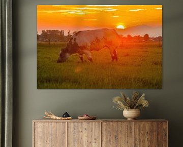 Grazing cow at sunset