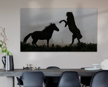 Two Konik horses by Anne Koop