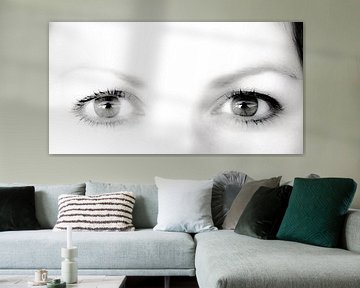 Ihr Augen (Breitwandfoto) von Norbert Sülzner