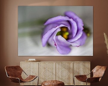 Liggende paarse bloem op tafel van Eveline Eijlander