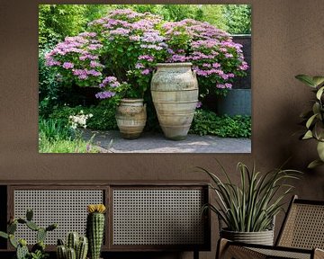 big vases with hydrangea hortensia background by ChrisWillemsen