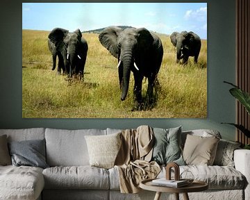 Elefant Masai Mara Kenia von Gerrit  De Vries