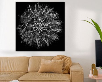 Dandelion van Marc Arts