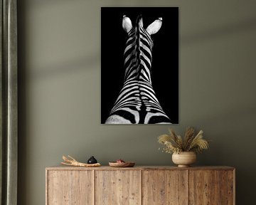Zebra in zwart wit