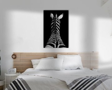 Zebra in zwart wit von peter reinders