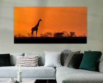 Afrikanischer Sonnenaufgang von Richard Guijt Photography