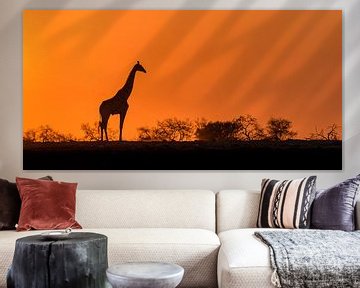 Afrikaanse zonsopkomst van Richard Guijt Photography