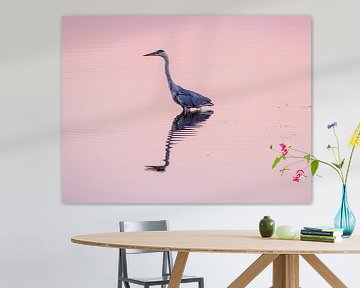 Blauwe Reiger bij ondergaande zon van Henk Goossens