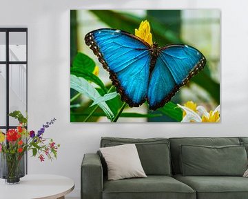 Blauwe vlinder van Stedom Fotografie