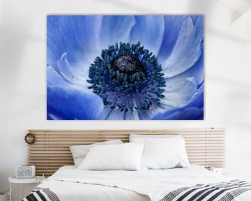 Blauwe anemoon (Anemone 'Mistral') van Tamara Witjes