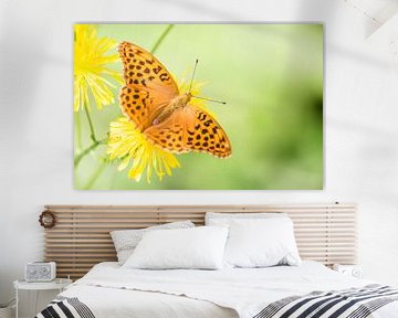 Keizersmantel vlinder op bloem