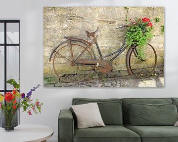 Oude verroeste fiets met een plant in de fietsmand van Nicolette Vermeulen