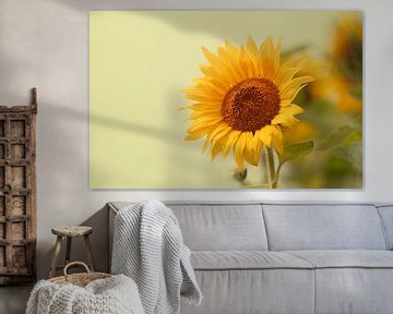 Sunflower by Ellen Driesse