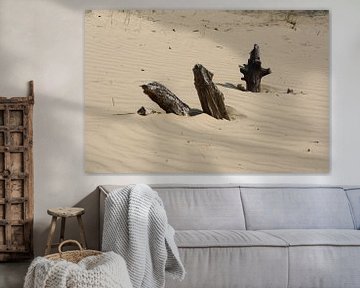 3 different wooden objects in sand dunes by Spijks PhotoGraphics