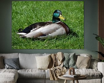 Eendje in het gras von Suzanne van der Lubbe