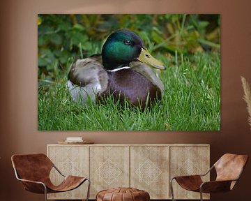 Eendje  von Suzanne van der Lubbe