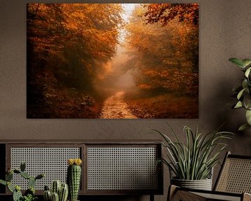 Herfst Wandeling van Lars van de Goor