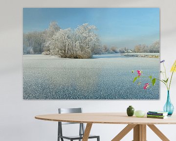Bevroren plas met berijpte winterboom van Merijn van der Vliet