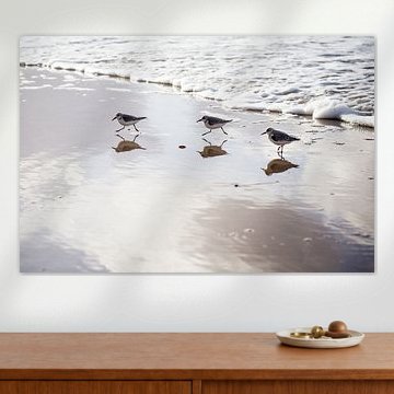 Strandlopertjes op strand