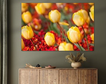 Gele tulpen van Ramon Bovenlander