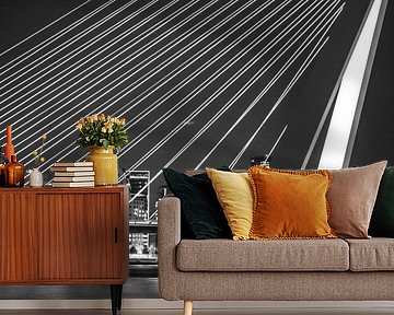 Erasmus Bridge in Rotterdam by Ramon Bovenlander